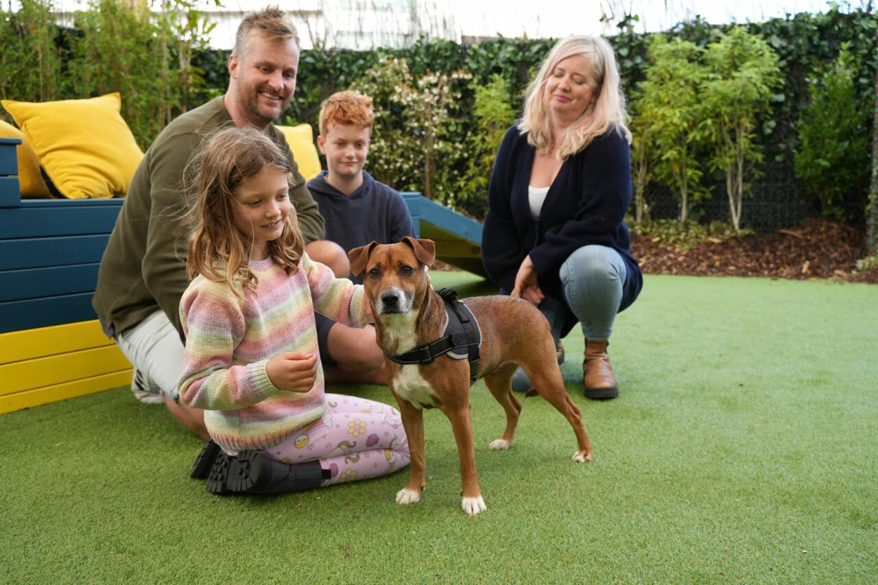 The Dog House A Production by South Pacific Pictures South Pacific